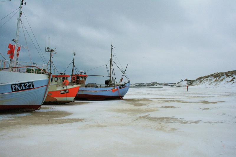 IMG_5896.JPG